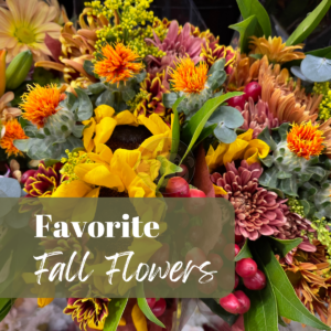 _Favourite Fall Flowers 1